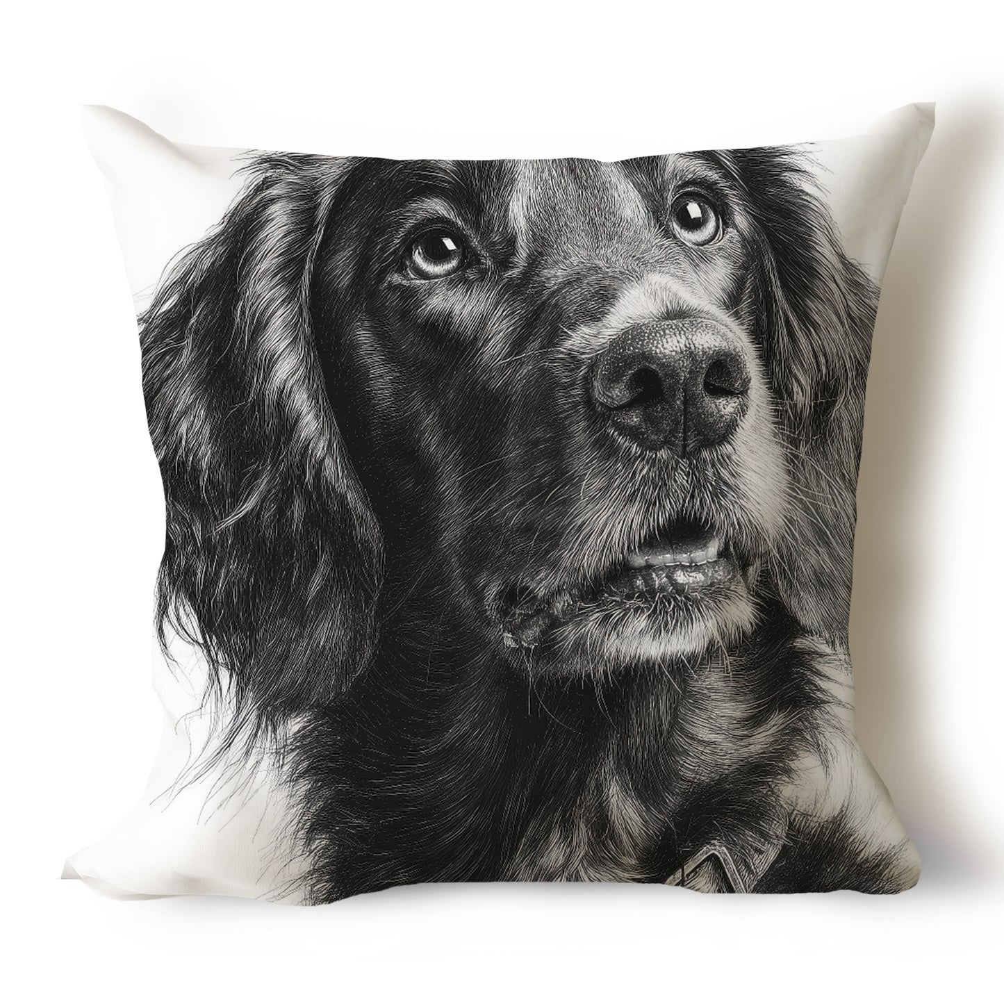 Irish Setter Pencil Sketch Artwork Throw Pillow Covers