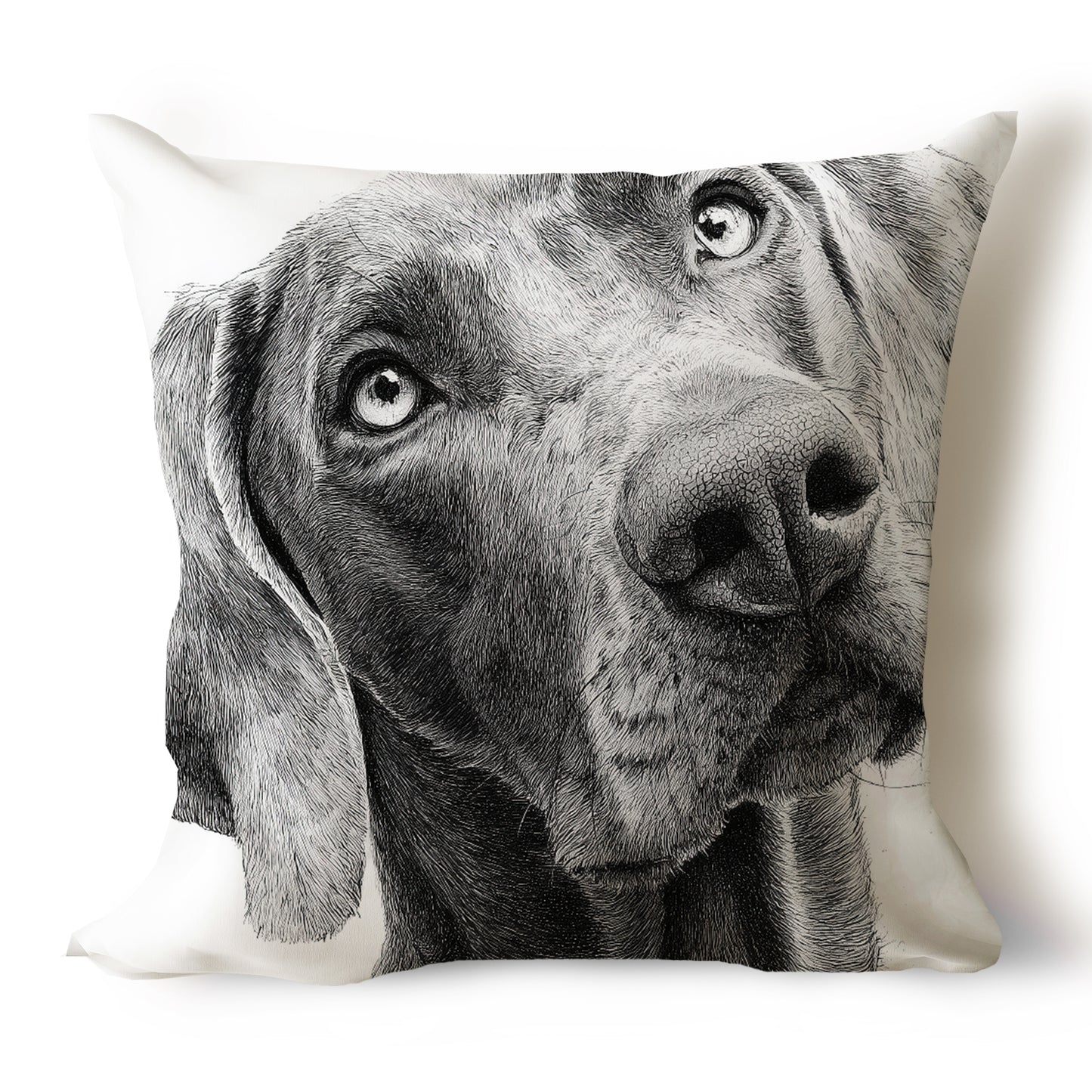 Weimaraner Pencil Sketch Artwork Throw Pillow Covers