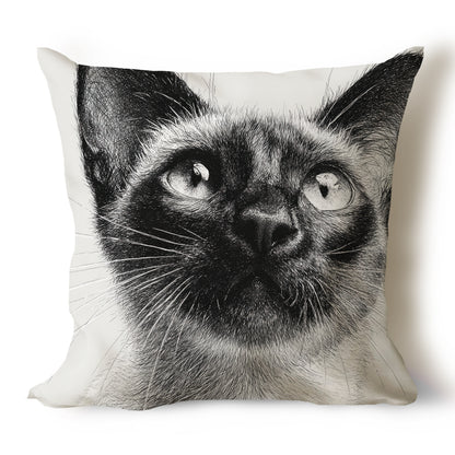Cats Pencil Sketch Artwork Throw Pillow Covers