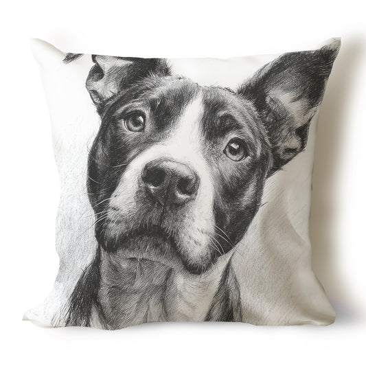 Pit Bull Pencil Sketch Artwork Throw Pillow Covers
