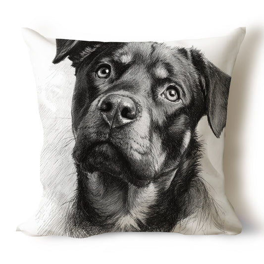 Rottweiler Pencil Sketch Artwork Throw Pillow Covers