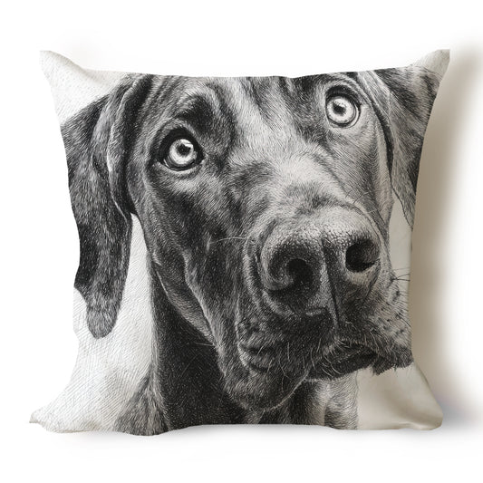 Rhodesian Ridgeback Pencil Sketch Artwork Throw Pillow Covers